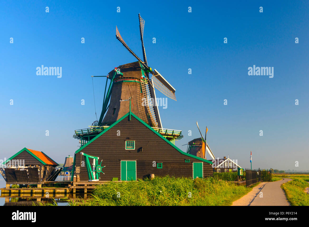 Paesi Bassi, North Holland, Zaandam, Zaanse Schans, il gatto (De Kat) Dyemill Foto Stock