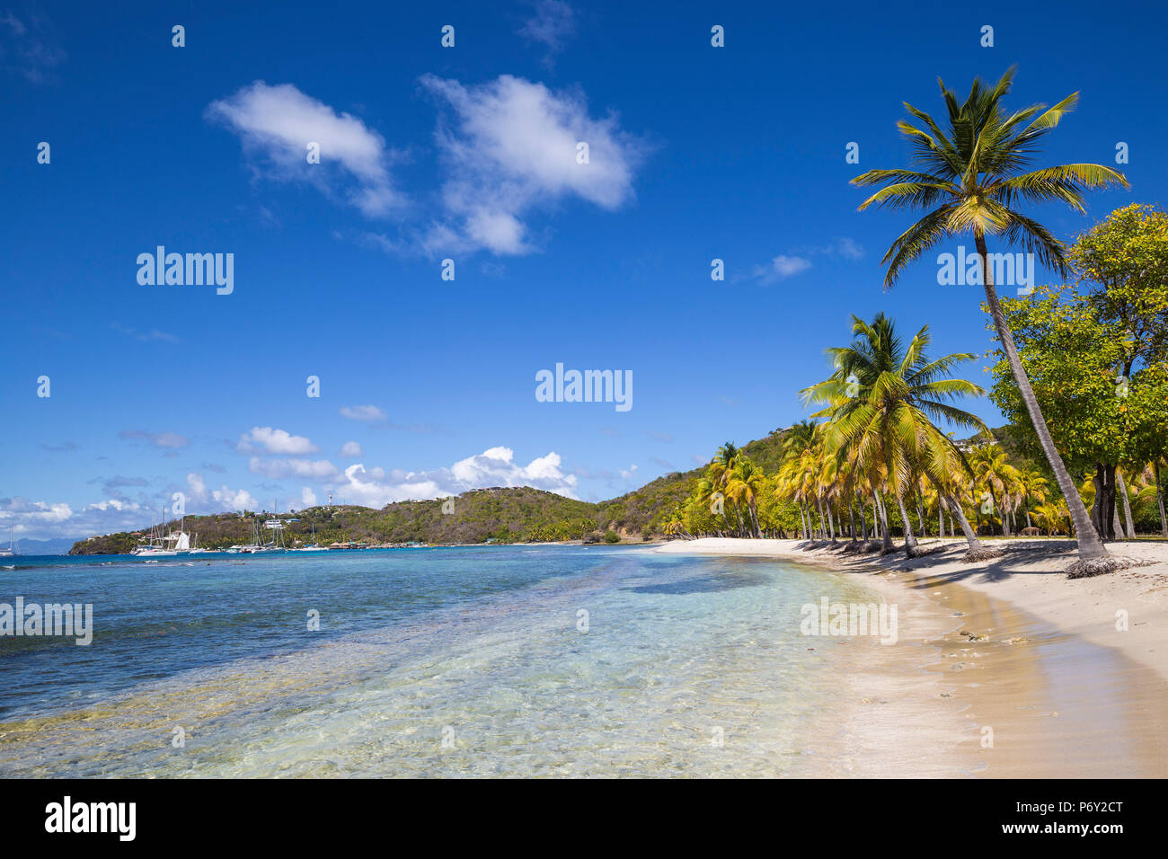 St Vincent e Grenadine, Mustique, Brittania Bay beach Foto Stock