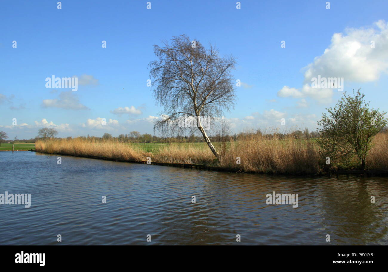 La vita di tutti i giorni per me su una perfetta giornata di sole Foto Stock