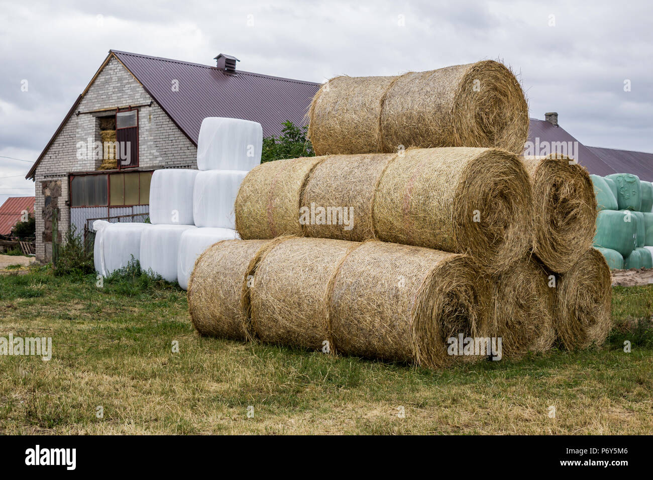 Impilati come una piramide,balle di fieno e insilato avvolte in una membrana.il cibo e la biancheria da letto per le mucche in inverno vicino al fienile.Farm in Podlasie,Polonia. Foto Stock