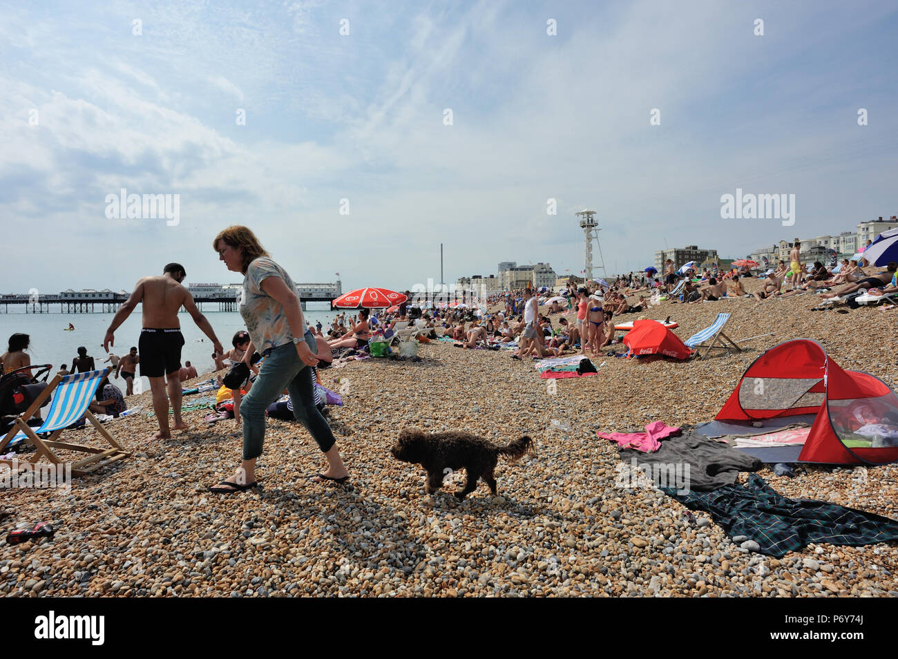 Donna Con Cane Seguendo Il Suo Sulla Spiaggia Di Brighton
