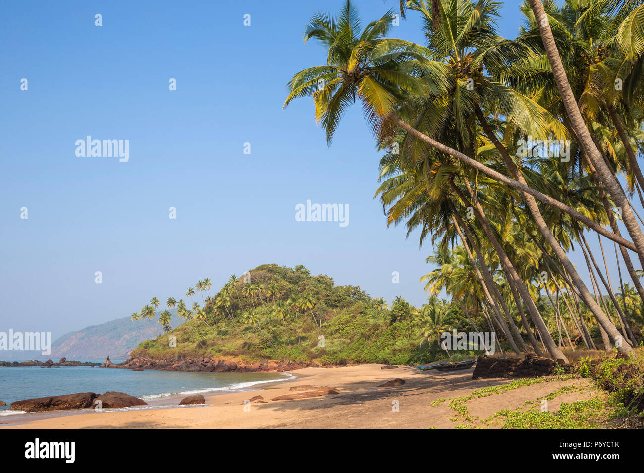 India, Goa, Cola beach Foto Stock