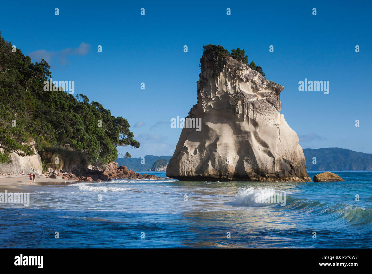 Nuova Zelanda, Isola del nord, la Penisola di Coromandel, Hahei, Cove Della Cattedrale Foto Stock