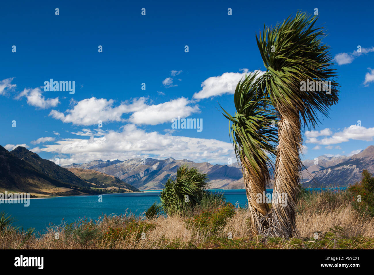 Nuova Zelanda, Isola del Sud, Otago, Wanaka-area, Lago Hawea Foto Stock