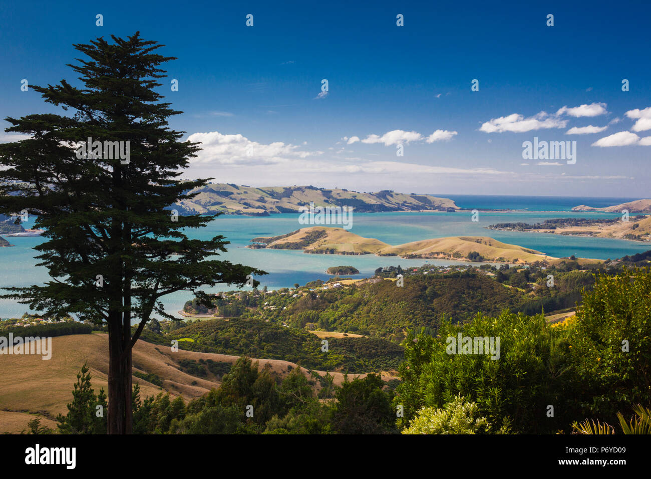 Nuova Zelanda, Isola del Sud, Otago, Penisola di Otago, paesaggio peninsulare Foto Stock