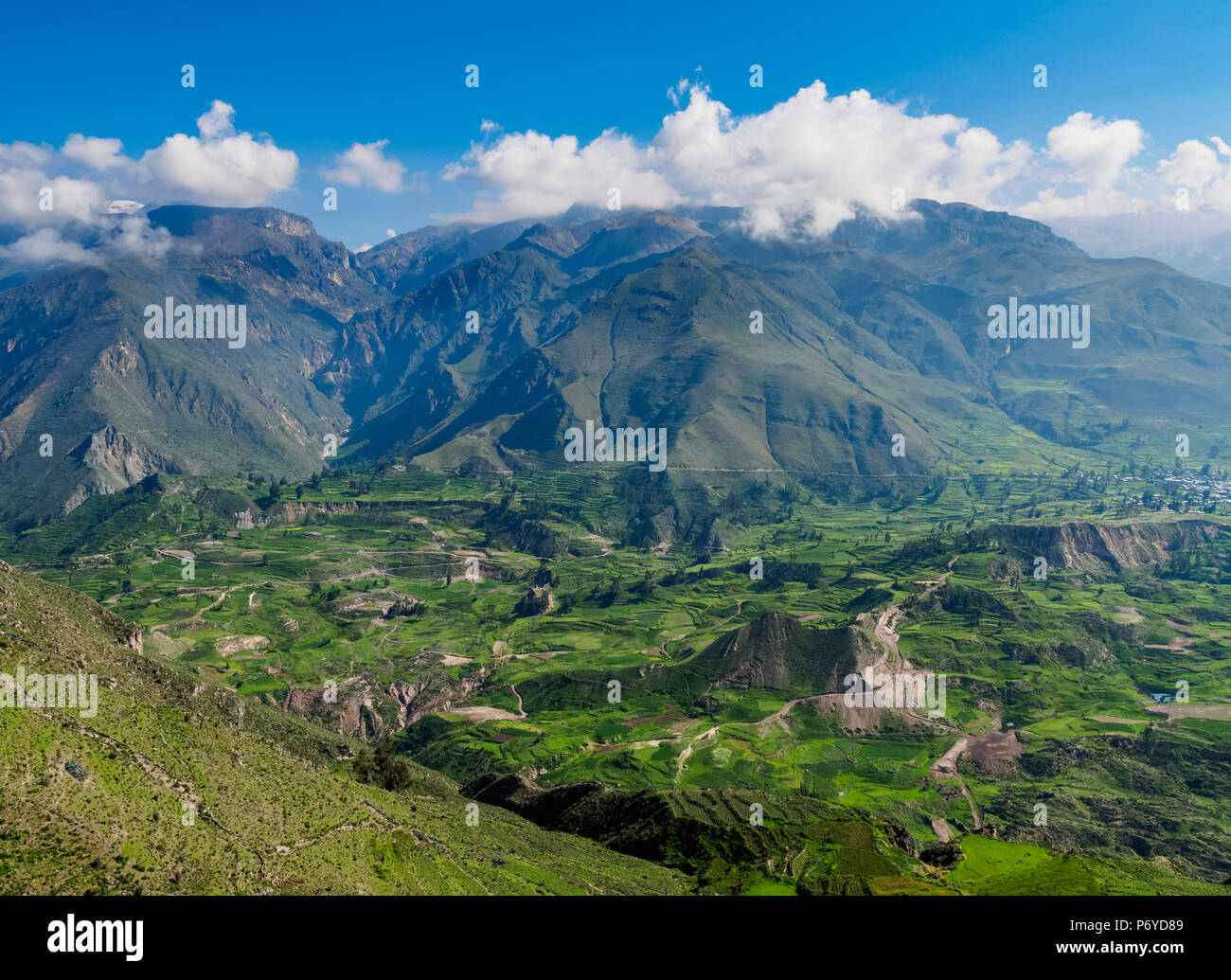 Il Colca Valley, regione di Arequipa, Perù Foto Stock