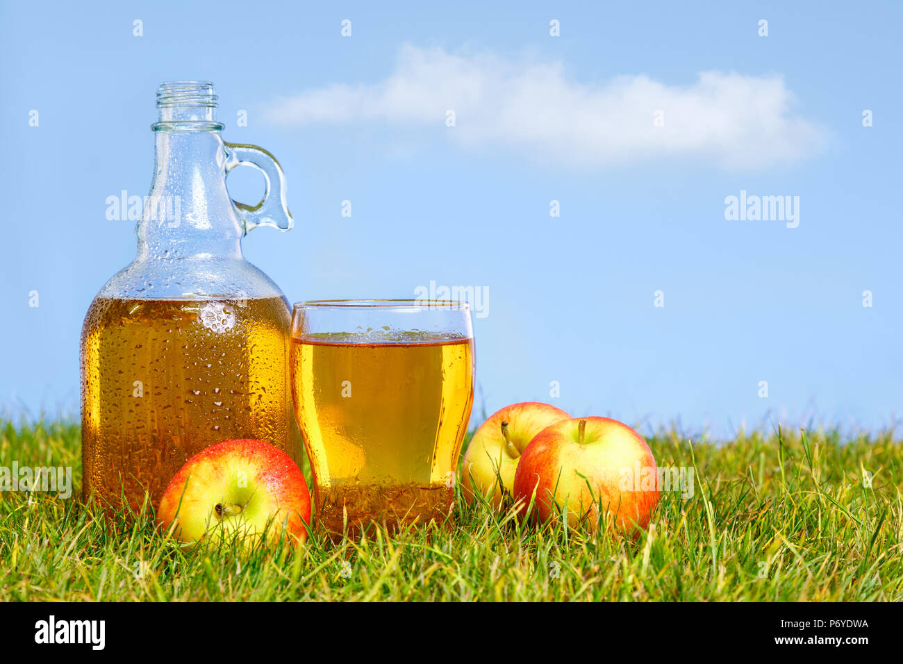 Un ghiaccio freddo flagon di fresco sidro di mela con vetro pinta tra erba verde in un frutteto in una calda giornata estiva. Foto Stock