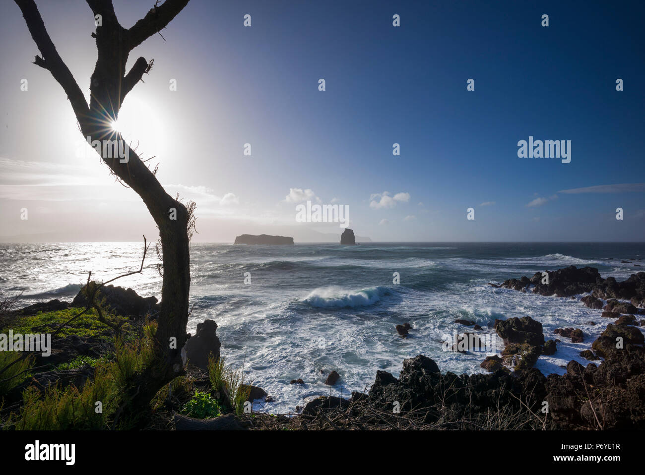 Portogallo Azzorre, isola Pico, Madalena, Ponta do Areiro, il mare in tempesta Foto Stock