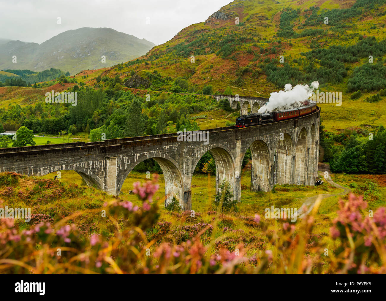 Regno Unito, Scozia, altopiani, Giacobita treno a vapore che attraversa il viadotto Glenfinnan. Foto Stock