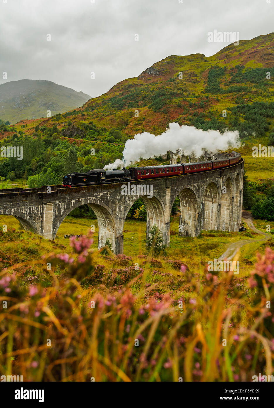 Regno Unito, Scozia, altopiani, Giacobita treno a vapore che attraversa il viadotto Glenfinnan. Foto Stock