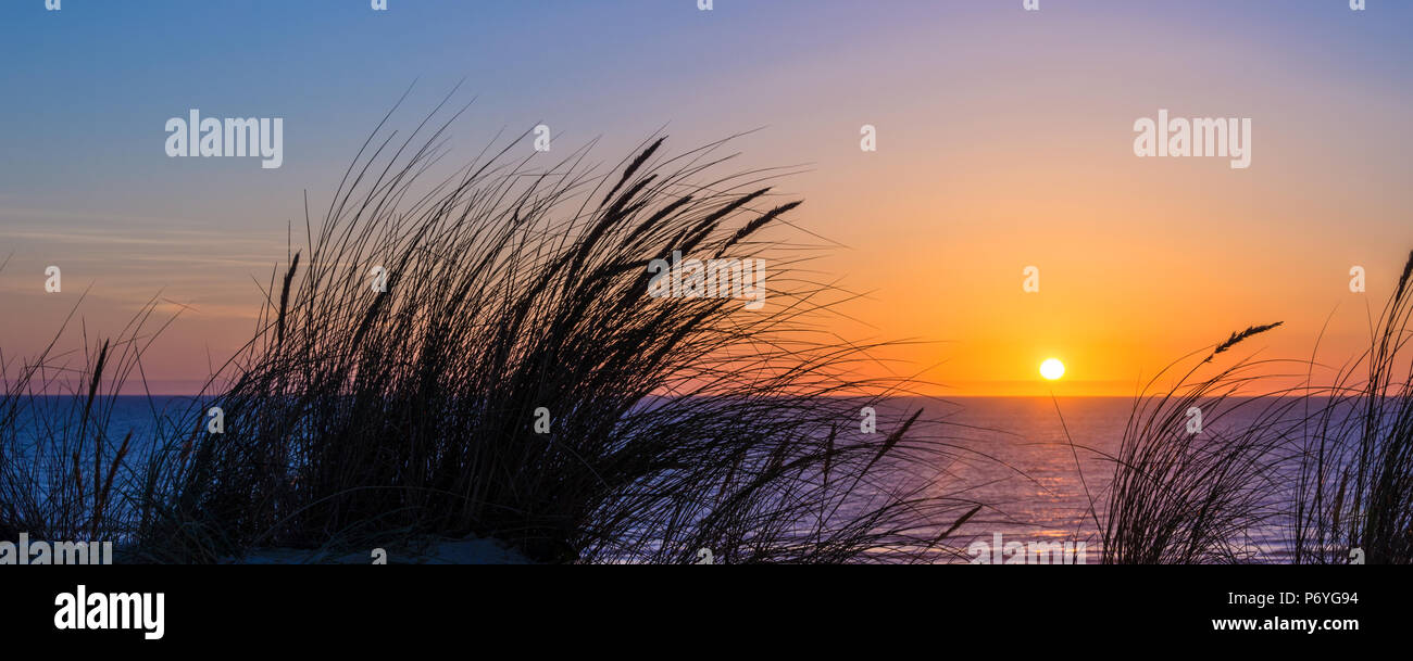Tramonto sull'oceano atlantico, spiaggia silhouette di erba in Lacanau Francia Foto Stock