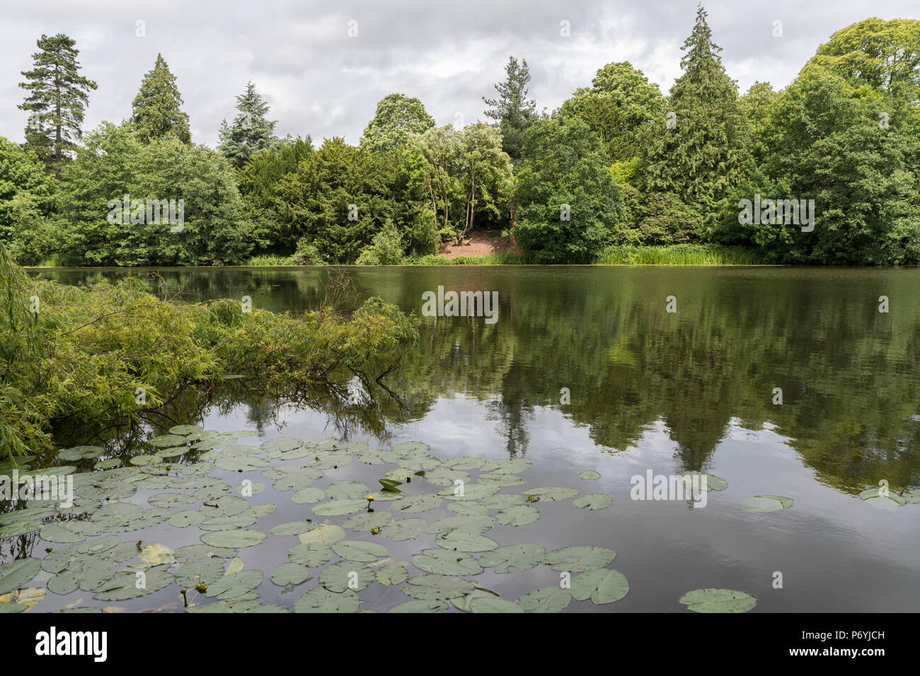 Giardino del Lago alla Corte Witley, Worcestershire, Inghilterra Foto Stock