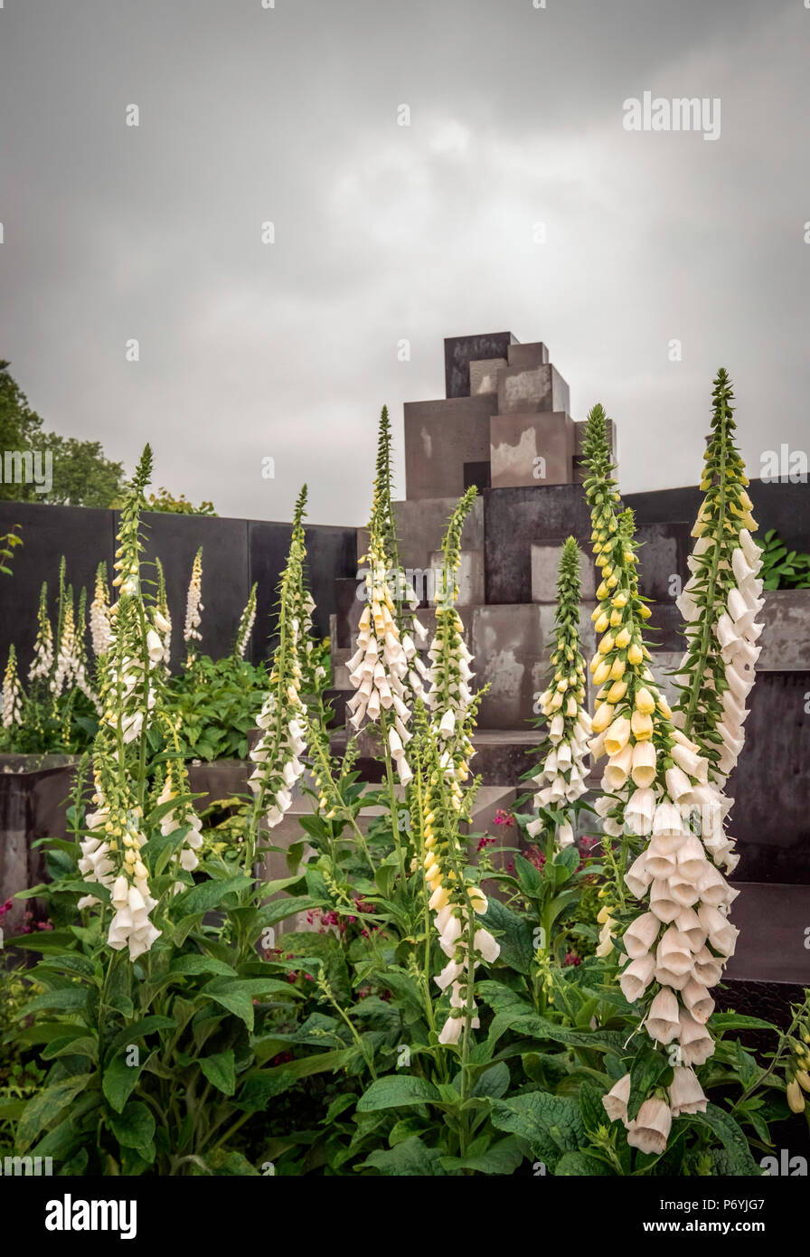 La profonda della pelle giardino disegnato da Robert Barker al Chelsea Flower Show di Londra, Regno Unito. Foto Stock