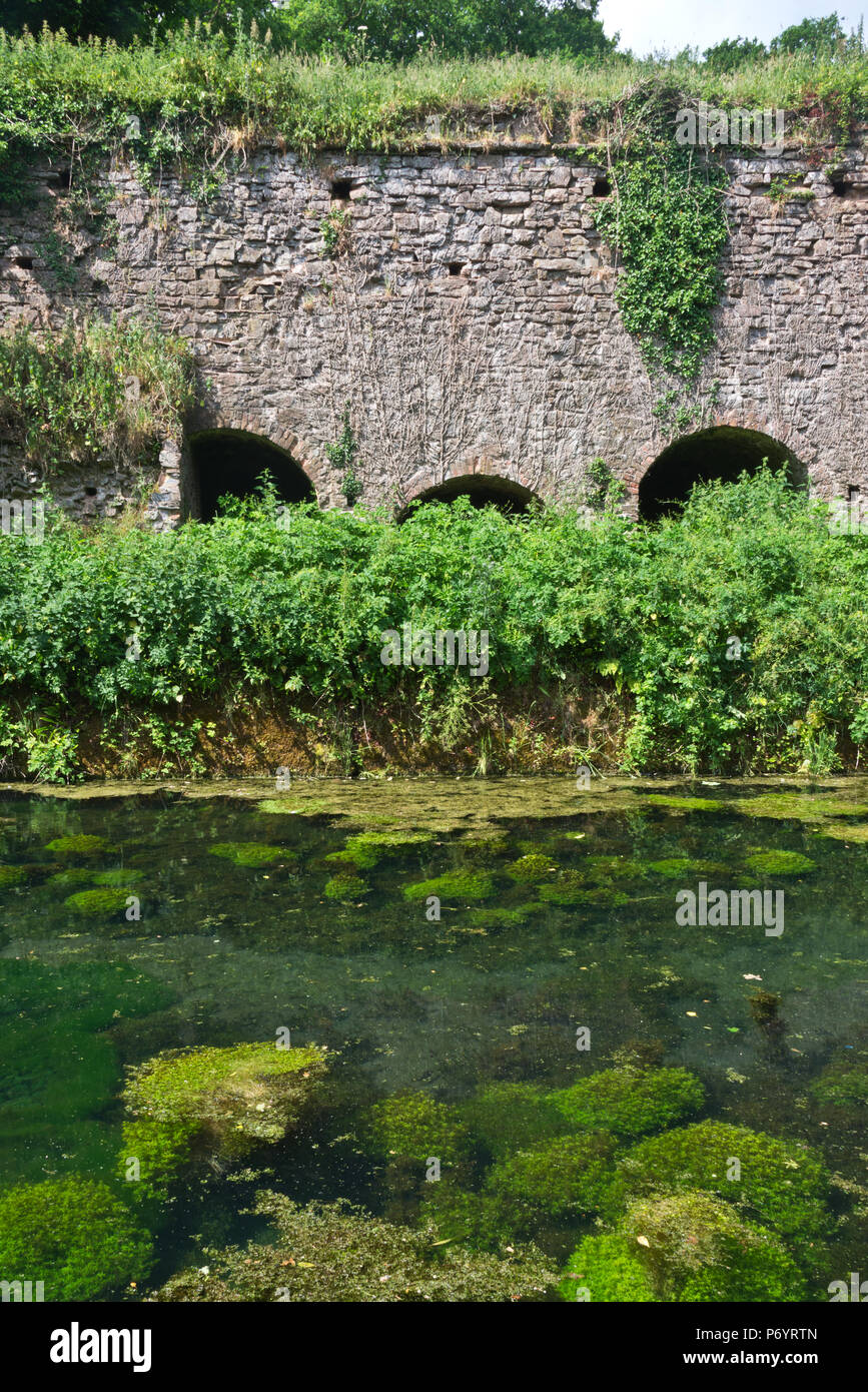 Un scenic summertimeview guardando attraverso il Great Western Canal (Tiverton canal) verso il Waytown Limeklins vicino Holcombe Rogus nel Devon, Regno Unito. Foto Stock