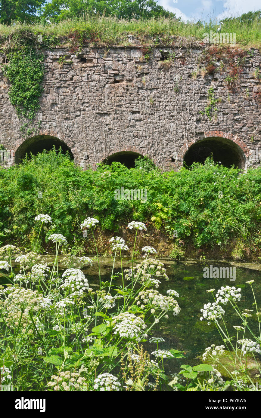 Un scenic summertimeview guardando attraverso il Great Western Canal (Tiverton canal) verso il Waytown Limeklins vicino Holcombe Rogus nel Devon, Regno Unito. Foto Stock