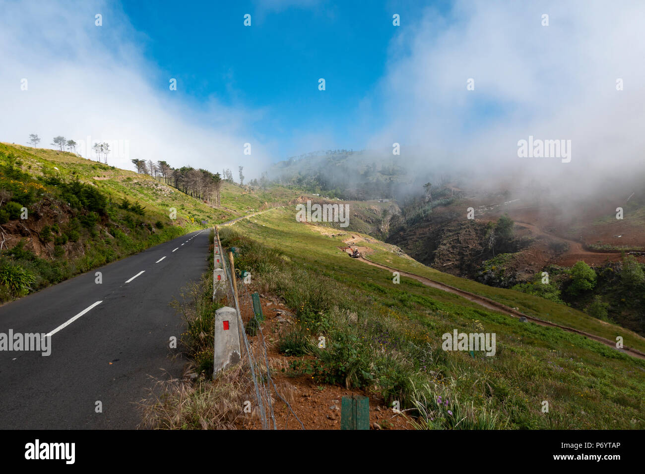 Il centro Nord Sud strada dalla Serra de Agua a Sao Vicente a Madeira, Portogallo. Foto Stock