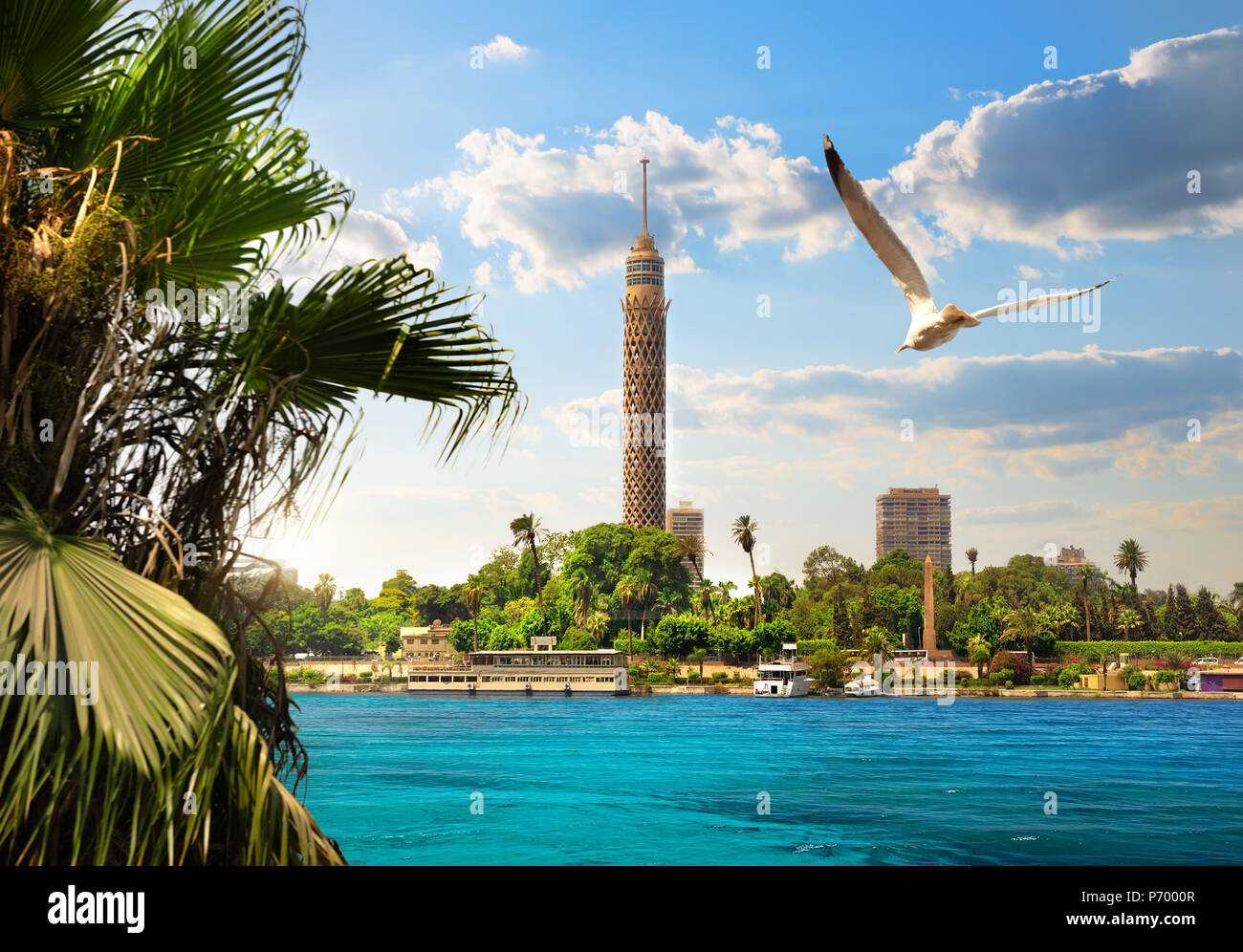 La torre della TV del Nilo vicino al Cairo a luce solare Foto Stock