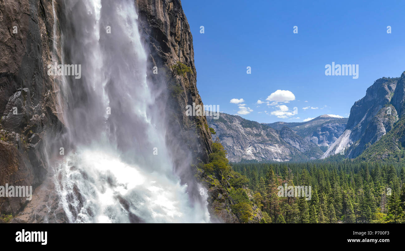 Abbassare Yosemite Falls e boschi Foto Stock