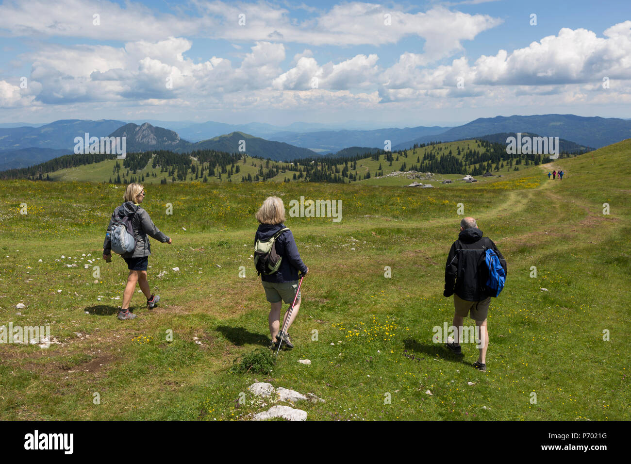 Walkers decend verso la raccolta di pastori sloveno' baite in Velika planina, il 26 giugno 2018, nella Velika planina, nei pressi di Kamnik, Slovenia. Velika planina è un altopiano di montagna in Kamnik-Savinja Alpi - un 5,8 chilometri quadrati area di 1.500 metri (4.900 piedi) sopra il livello del mare. Altrimenti noto come il grande altopiano di pascolo, Velika planina è un inverno Sciare destinazione e percorso escursionistico in estate. Il caprili divenne popolare nei primi anni trenta come holiday cabine (noto come bajtarstvo) ma questi furono distrutti dai tedeschi durante la Seconda Guerra Mondiale e ricostruita successivamente da Vlasto Kop Foto Stock