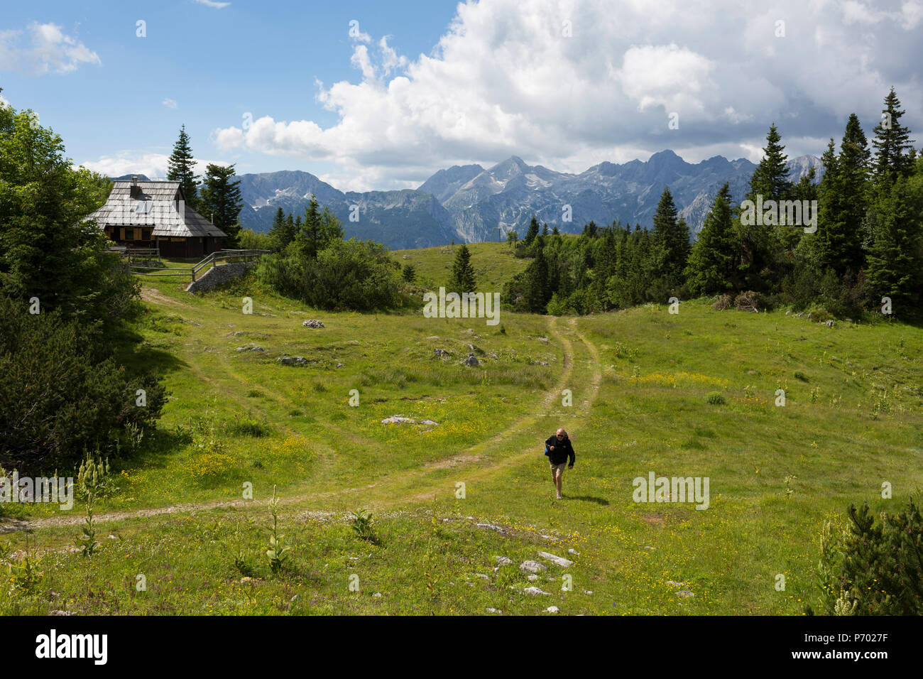 Un viandante si arrampica una banca di Velika planina, il 26 giugno 2018, nella Velika planina, nei pressi di Kamnik, Slovenia. Velika planina è un altopiano di montagna in Kamnik-Savinja Alpi - un 5,8 chilometri quadrati area di 1.500 metri (4.900 piedi) sopra il livello del mare. Altrimenti noto come il grande altopiano di pascolo, Velika planina è un inverno Sciare destinazione e percorso escursionistico in estate. Il caprili divenne popolare nei primi anni trenta come holiday cabine (noto come bajtarstvo) ma questi furono distrutti dai tedeschi durante la Seconda Guerra Mondiale e ricostruita successivamente da Vlasto Kopac nell'estate del 1945. Foto Stock