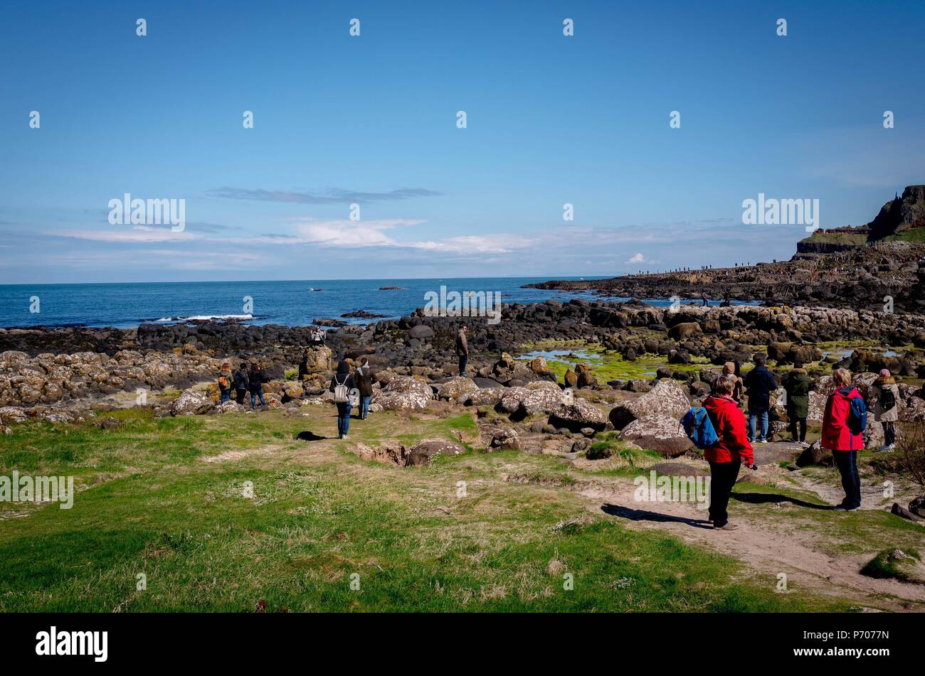 21/06/2018. Irlanda del Nord, Regno Unito. Il Giants Causeway in Irlanda del Nord.Foto di Andrew Parsons/ Parsons Media Ltd Foto Stock