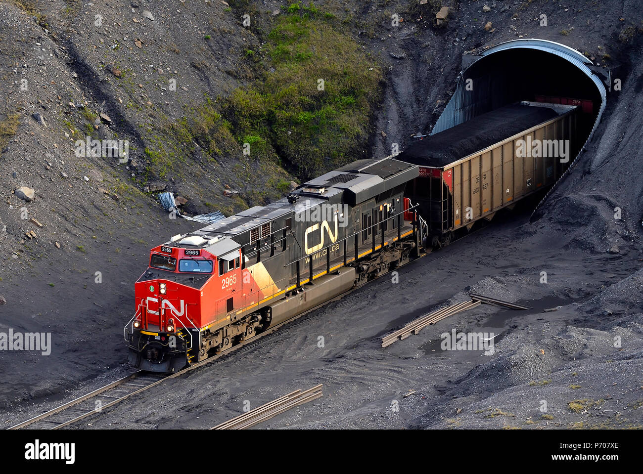 Un Canadian National treno merci tirando open top vagoni ferroviari caricati con del carbone attraverso un tunnel vicino Cadomin Alberta Canada. Foto Stock