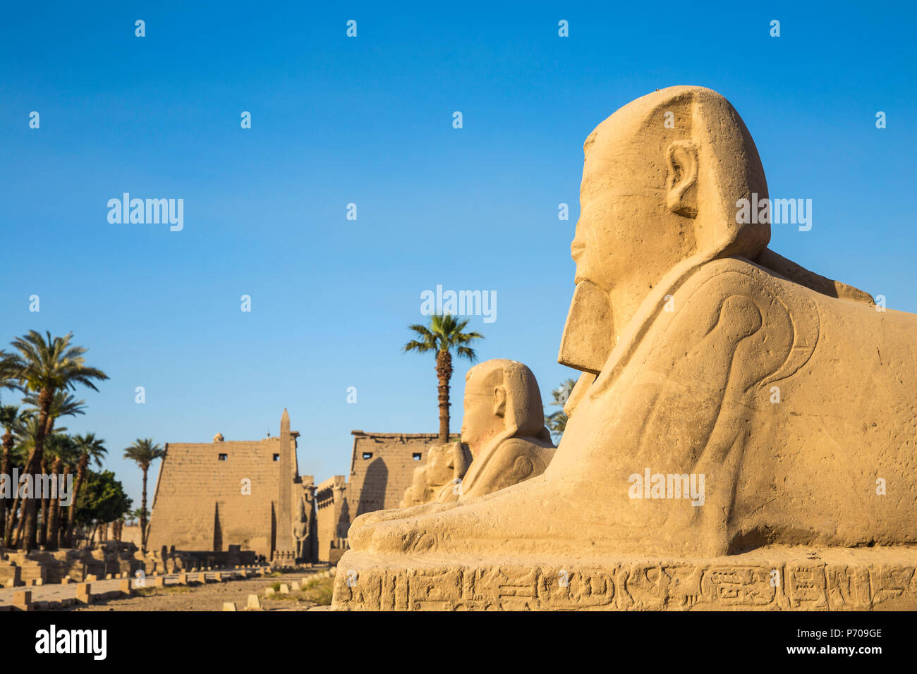 Egitto Luxor Tempio di Luxor, Avenue di Spinxes e l'ingresso al tempio noto come primo pilone Foto Stock