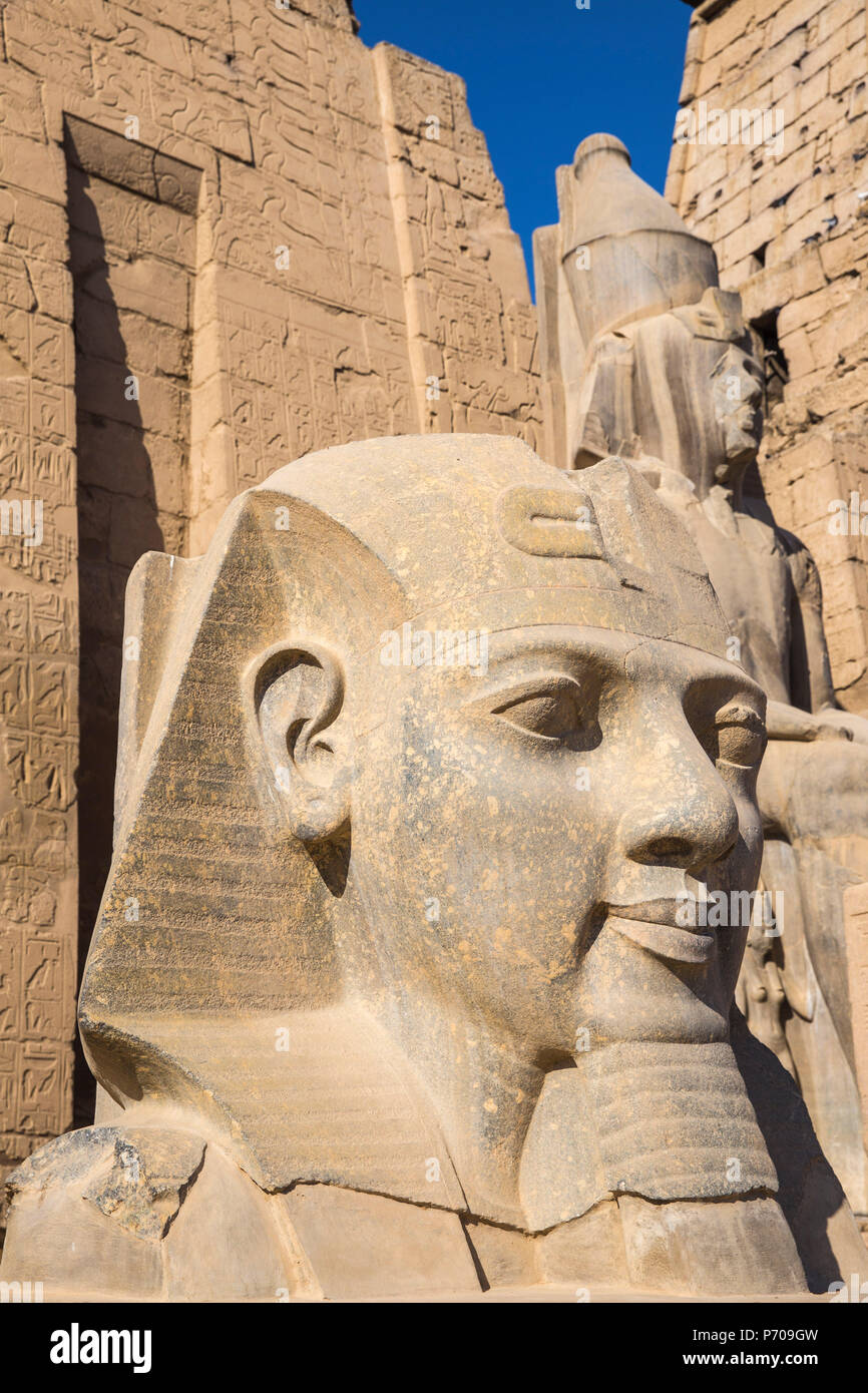 Egitto Luxor Tempio di Luxor, Ramses II la testa Foto Stock