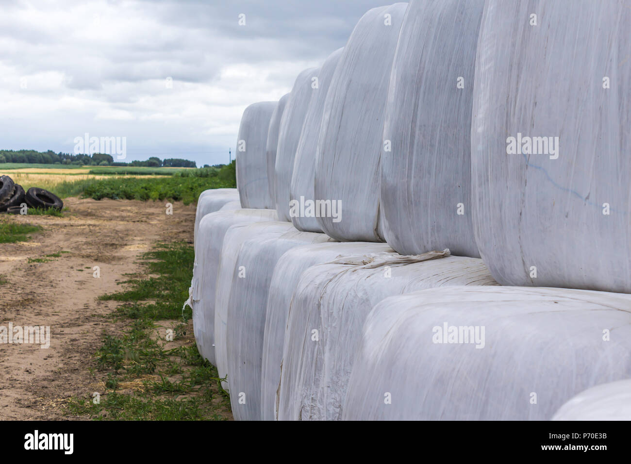 Impilati come una piramide, le balle di insilato, avvolto in una membrana. Il cibo e la biancheria da letto per le mucche in inverno è memorizzato in un campo.Podlasie, Polonia. Foto Stock