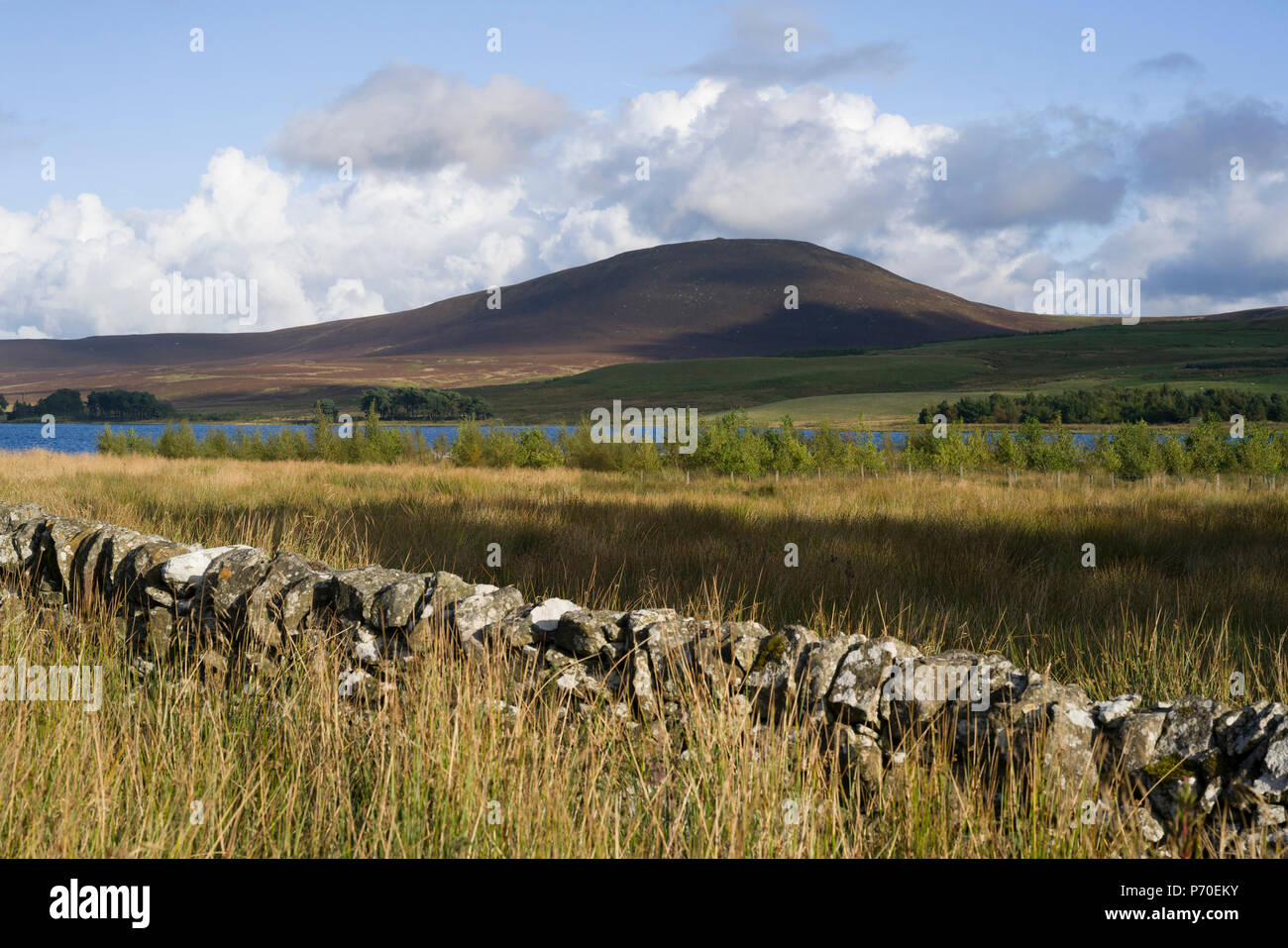 Harperrig, West Lothian, un serbatoio in corrispondenza del bordo del Pentland Hills con Cauldstane schiaffo al di là. Un drystane dyke (parete) in primo piano. Foto Stock