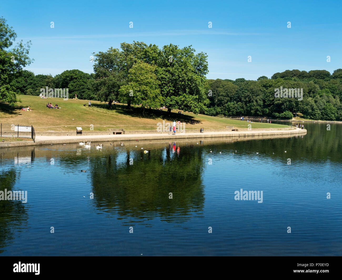 Lago di Waterloo a Roundhay Park Roundhay Leeds West Yorkshire Inghilterra Foto Stock
