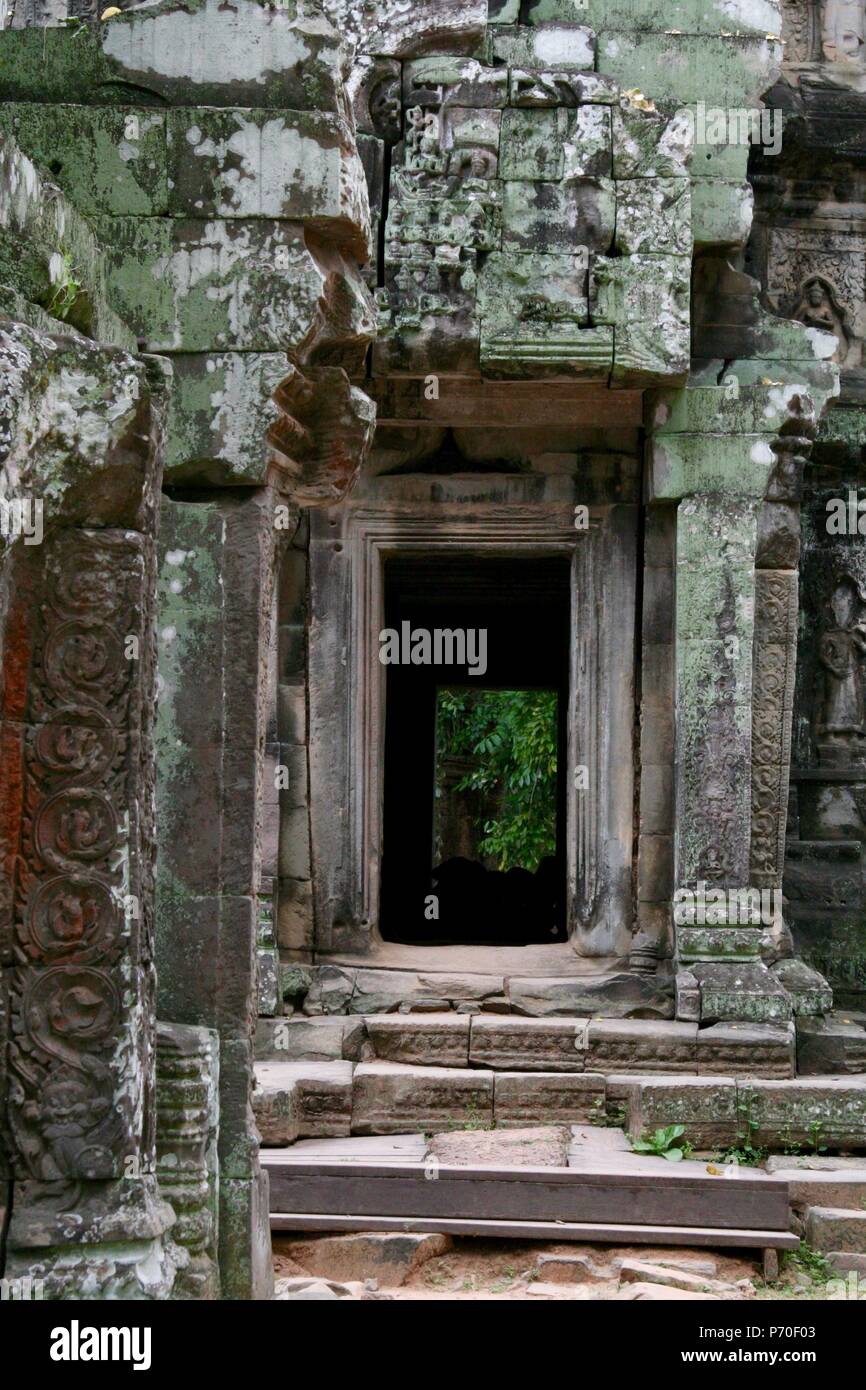 Ta Prohm Tempio nelle giungle di Siem Reap Provincia in Cambogia Foto Stock