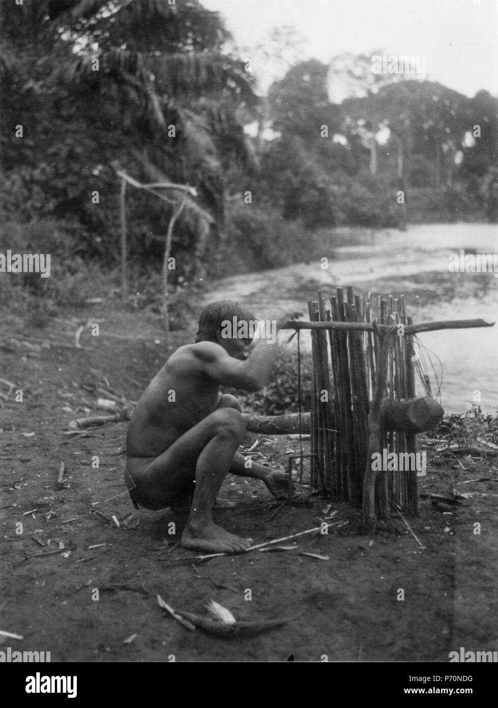 143 gillrar indiano en djurfälla för smärre däggdjur. Foto, Erland Nordenskiöld 1927 - SMVK - 004321 Foto Stock
