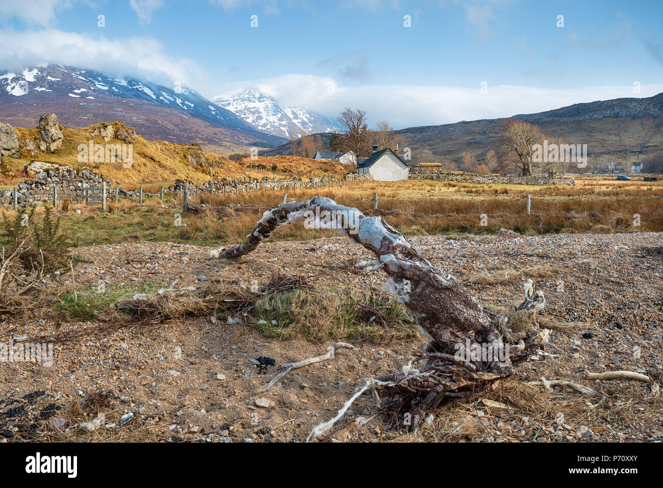 Un ramo di driftwood drappeggiati con lana di pecora dalle sponde del Loch Assynt guardando fuori sopra il vecchio Kirk a Inchnadamph in Sutherland Foto Stock