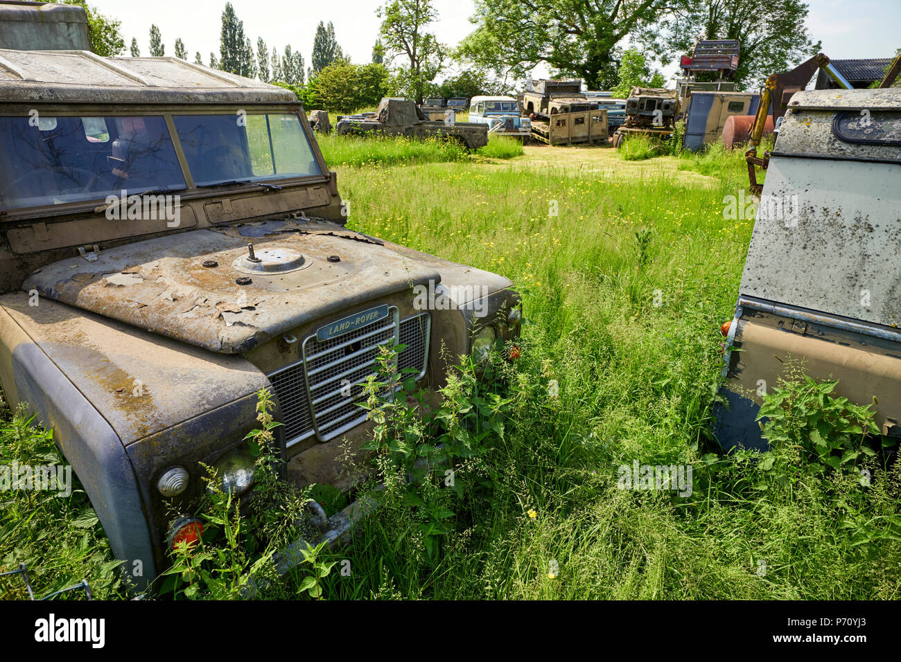 Il vecchio Land Rover difensori in un cantiere nei pressi di Hack verde nel Cheshire Foto Stock