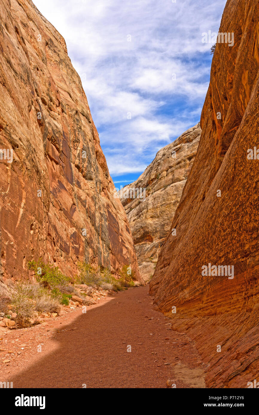 Canyon nascosto nel profondo del deserto a Capitol Reef National Park nello Utah Foto Stock