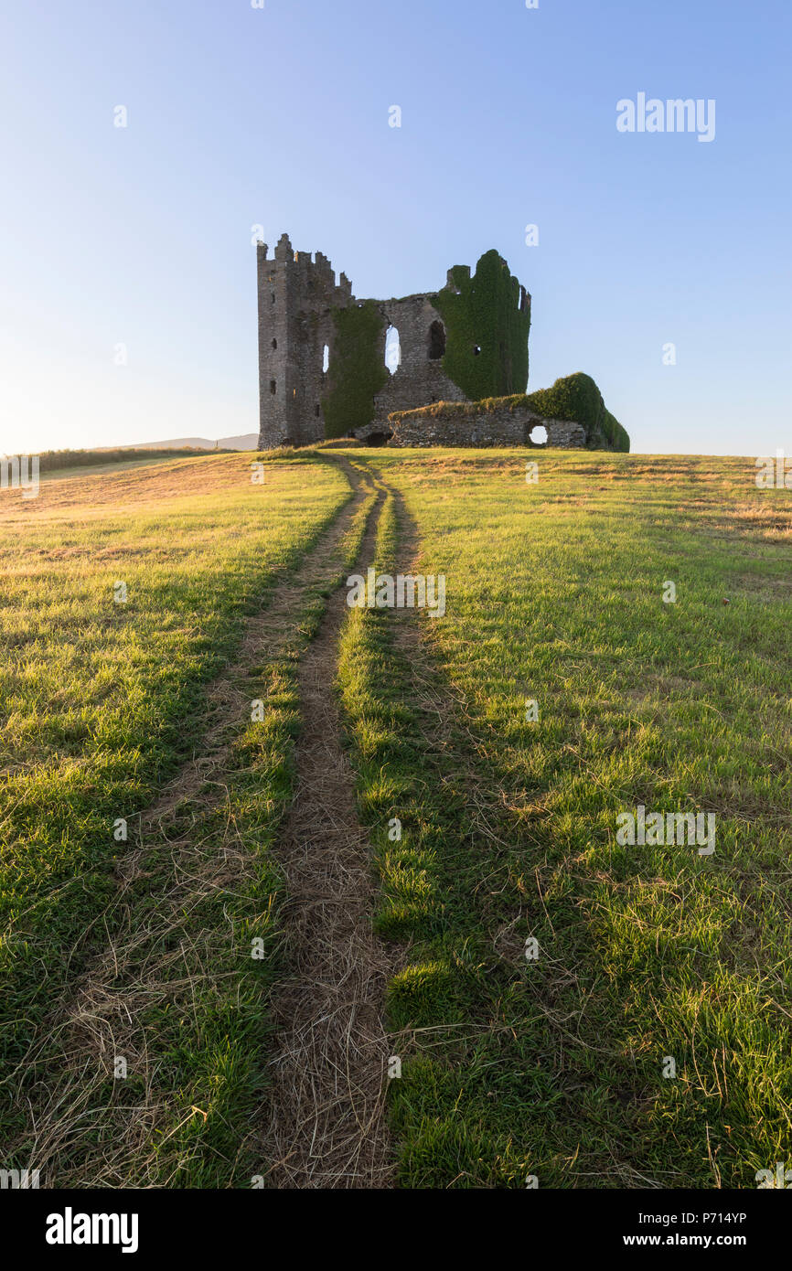I campi di erba Ballycarbery intorno al castello, Cahersiveen, nella contea di Kerry, Munster, Repubblica di Irlanda, Europa Foto Stock