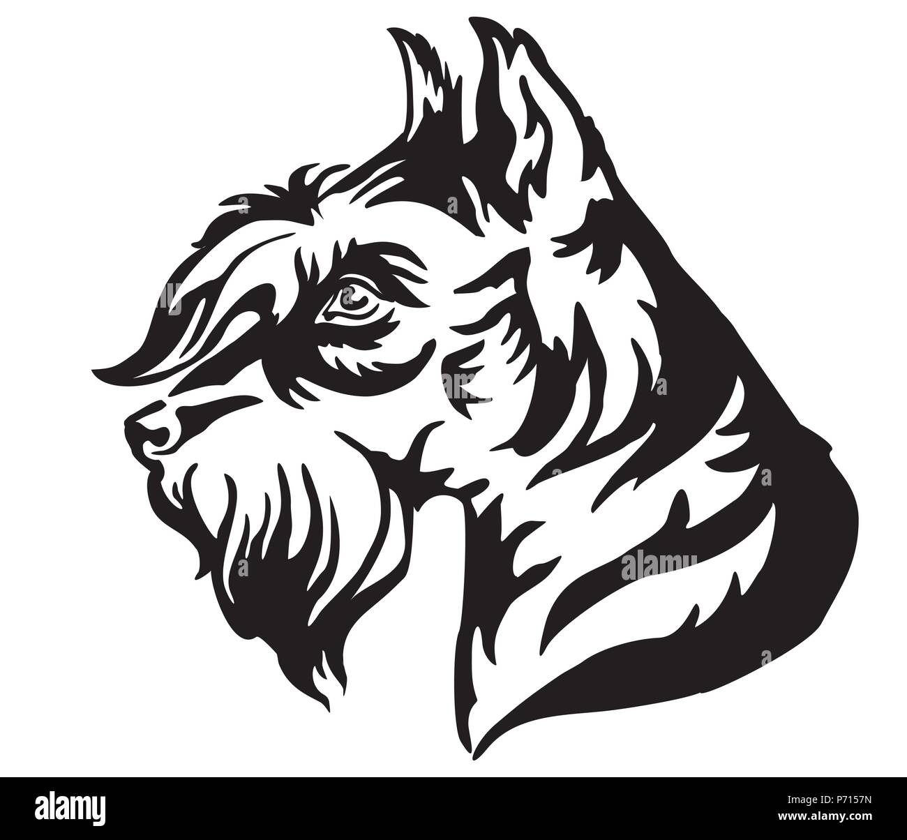 Ritratto decorativo nel profilo del cane Schnauzer in miniatura, vettore isolato illustrazione in colore nero su sfondo bianco. Immagine per design e tatto Illustrazione Vettoriale