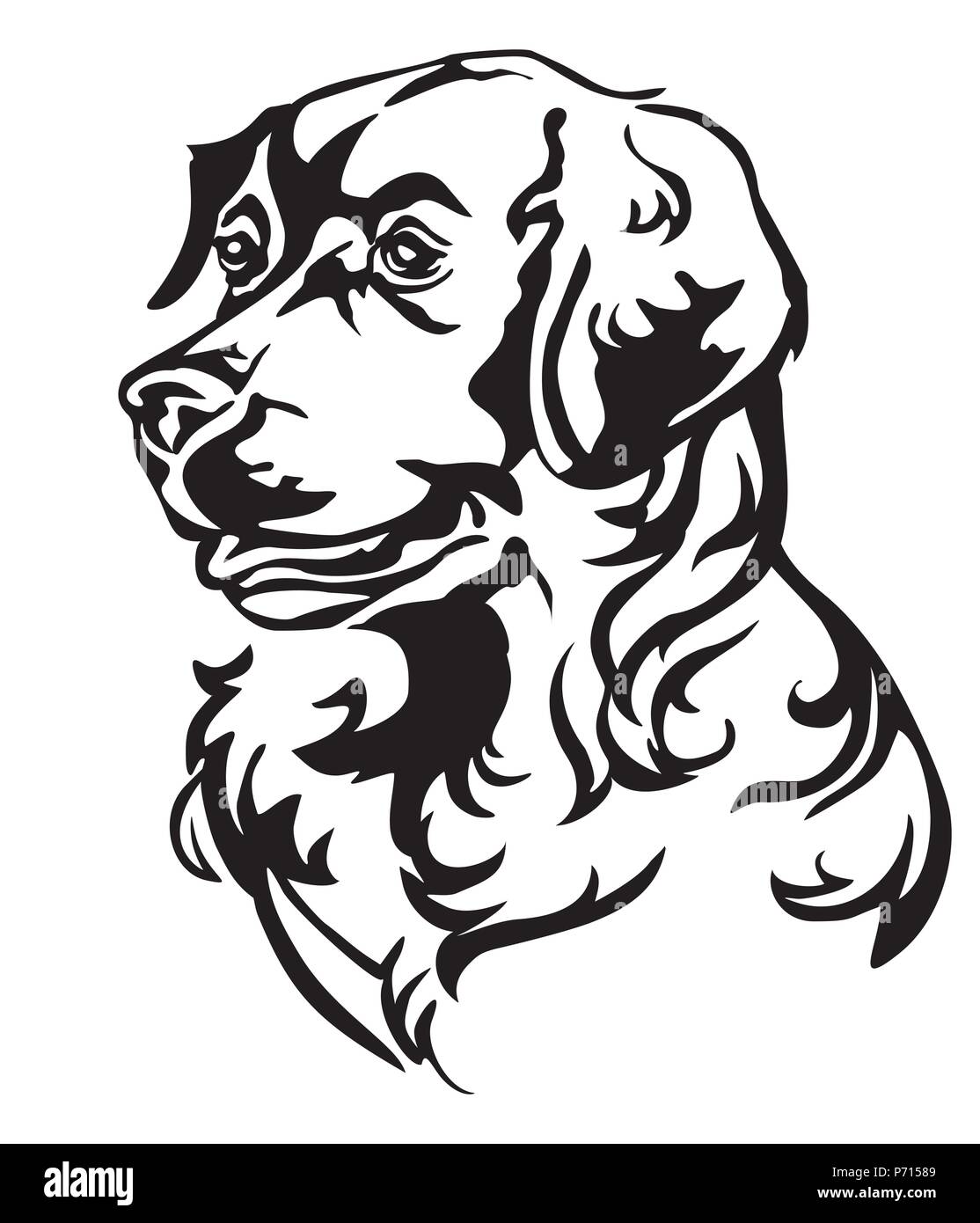 Ritratto decorativo in profilo di cane Golden Retriever, vettore isolato illustrazione in colore nero su sfondo bianco. Immagine per design e tatuaggio. Illustrazione Vettoriale