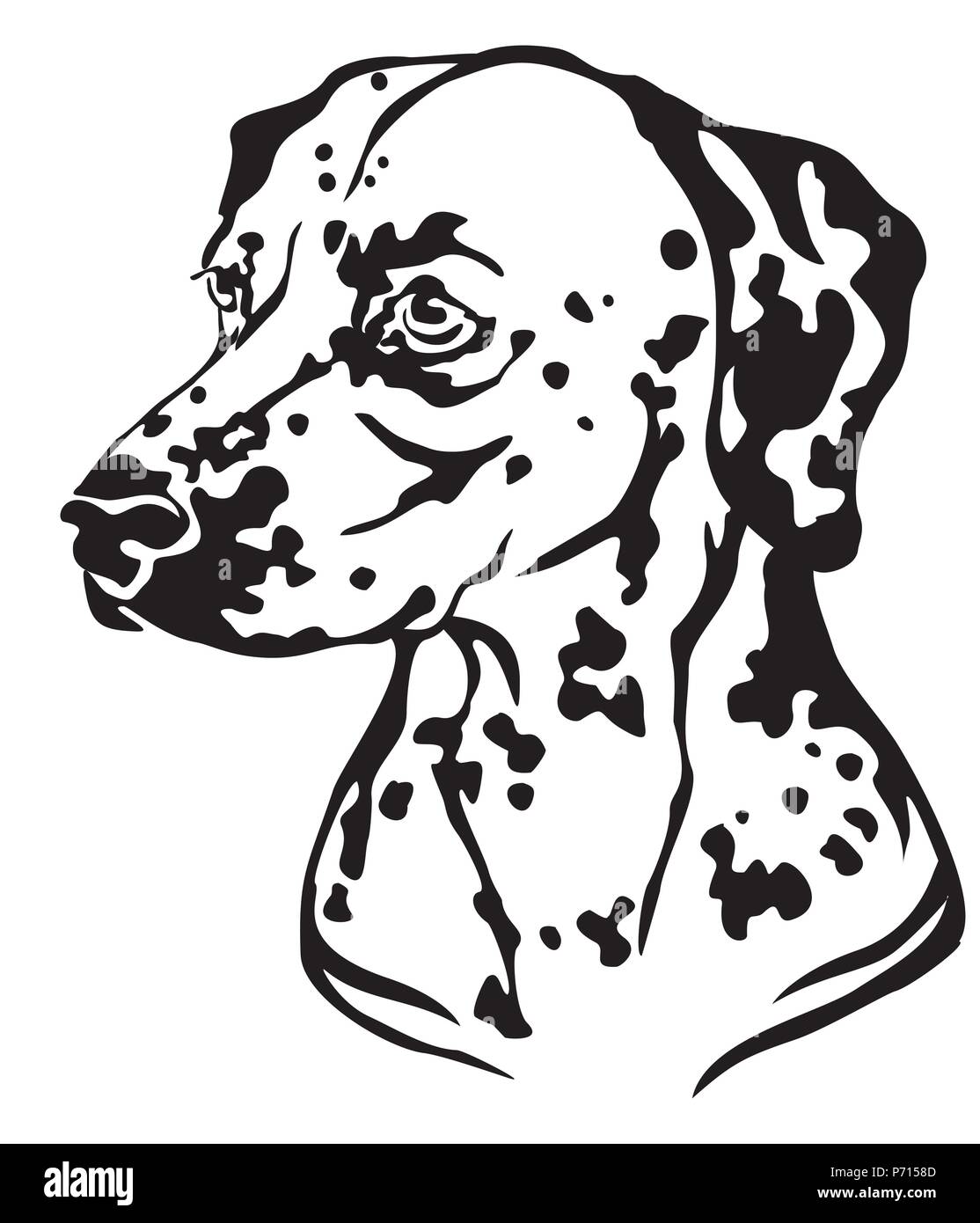 Ritratto decorativo in profilo di cane dalmata vettore, illustrazione isolato in colore nero su sfondo bianco. Immagine per design e tatuaggio. Illustrazione Vettoriale