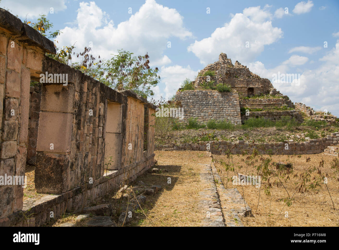 Rovine Maya, la struttura MA-9 in background, Oxkintok zona archeologica, 300 a 1050 Annuncio, Yucatan, Messico, America del Nord Foto Stock