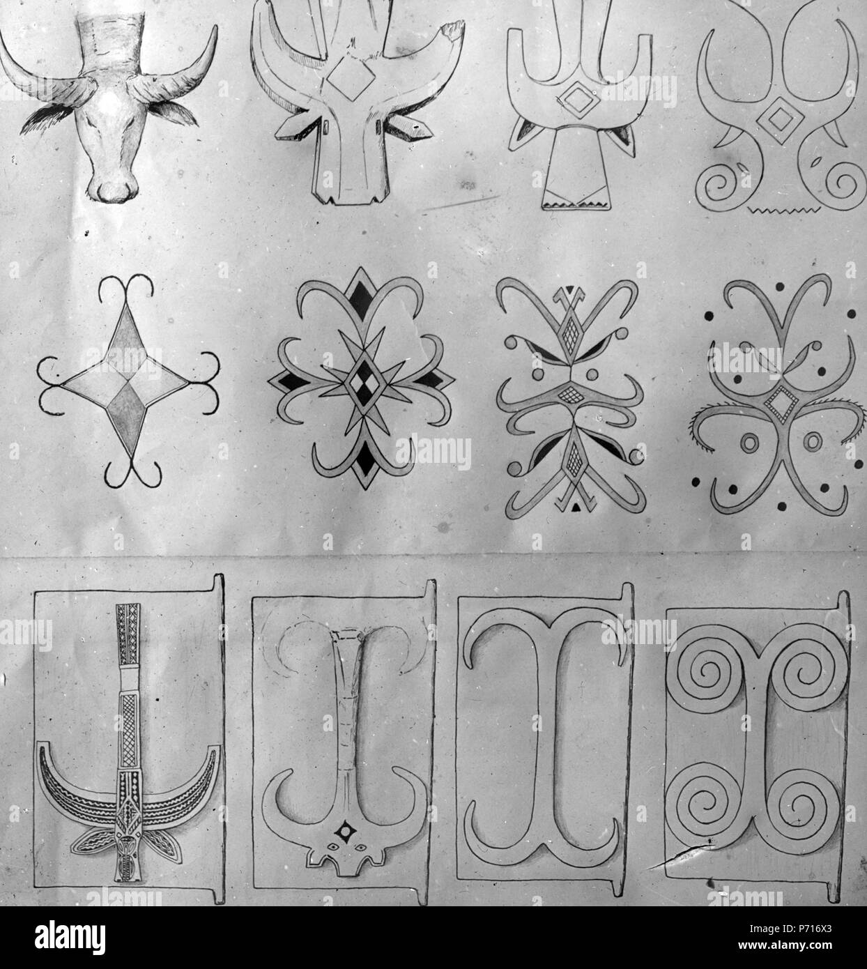 45 Ornamentik. Schema över buffelhuvudets stilisering. Teckningar av Kaudern Walter. Sulawesi - SMVK - 1594D Foto Stock