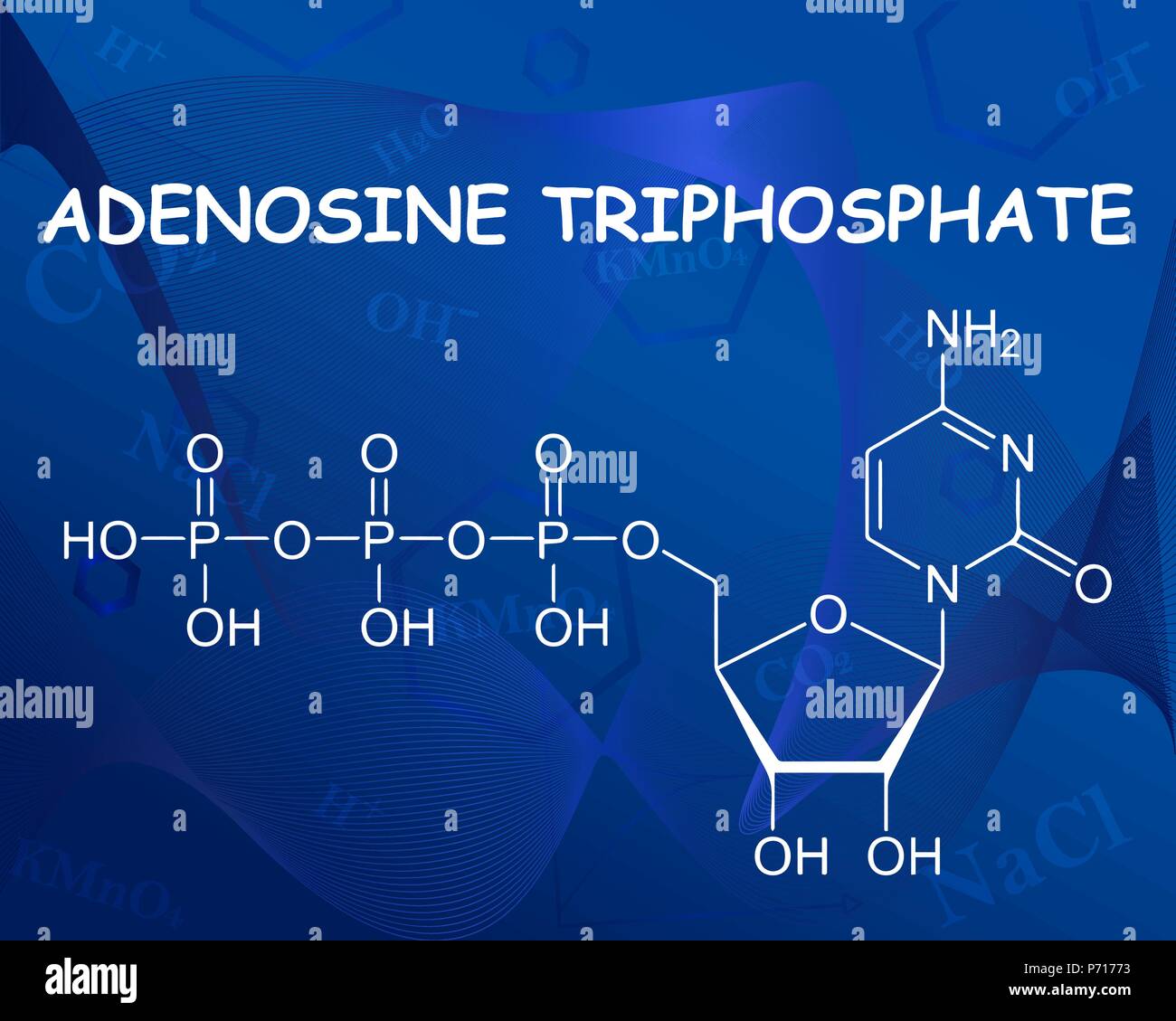 Adenosina trifosfato formula chimica. Illustrazione Vettoriale. Formula bellissimo sfondo blu. Illustrazione Vettoriale