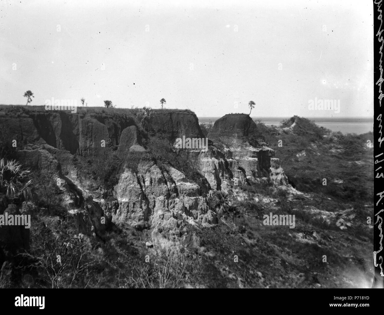 8 Del av platån övre på ön Mahakamby. Mahakamby, Île Mahakamby. Madagascar - SMVK - 022022 Foto Stock