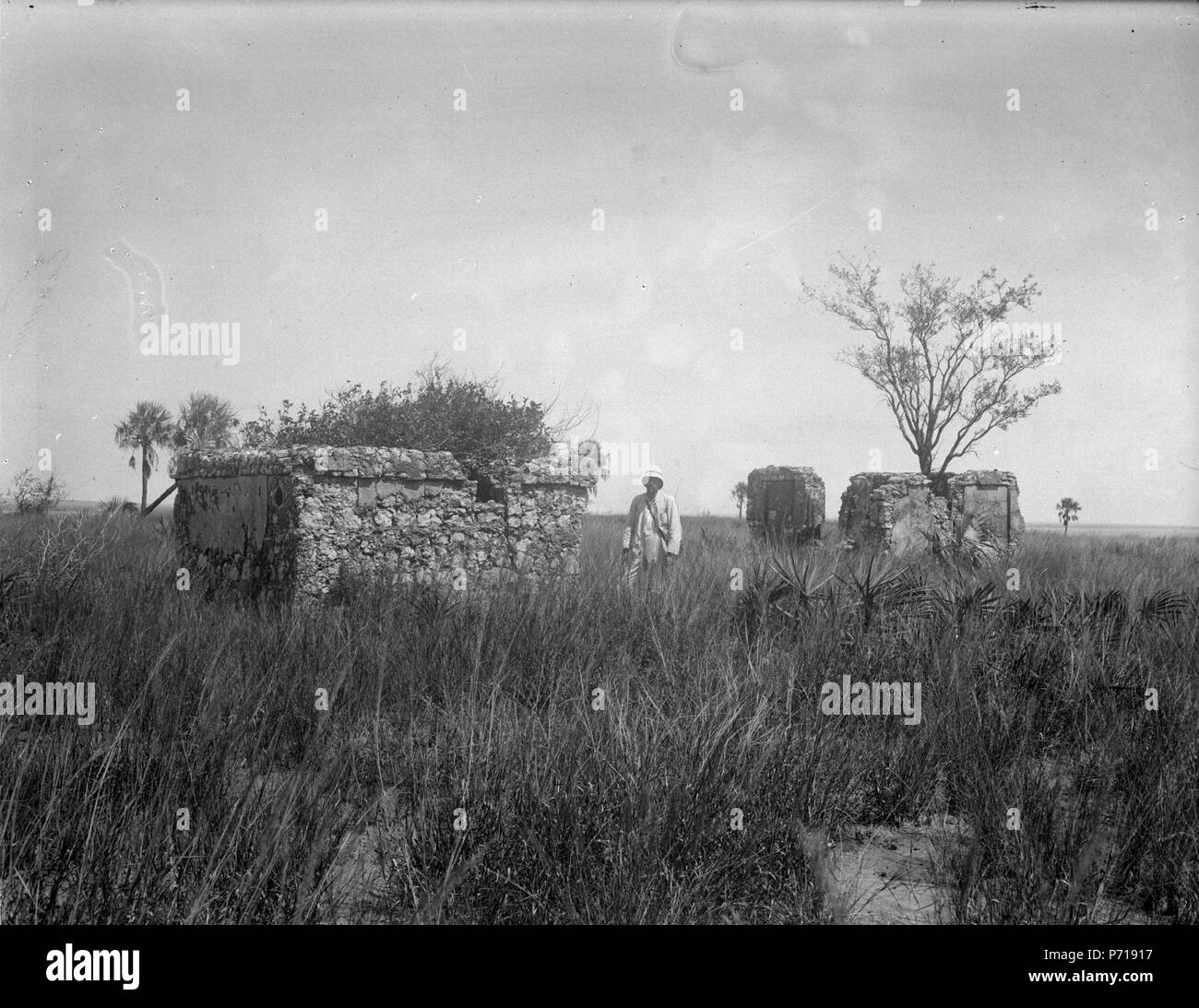 50 Ruiner på övre platån på ön Mahakomby. Mahakamby, Île Mahakamby. Madagascar - SMVK - 022023 Foto Stock