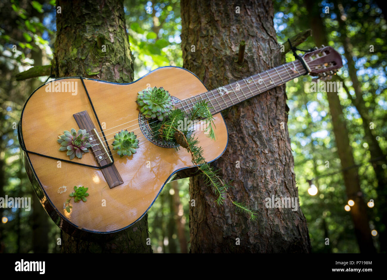 Chitarra in un bosco di alberi in un festival, con sfumature hippy Foto Stock