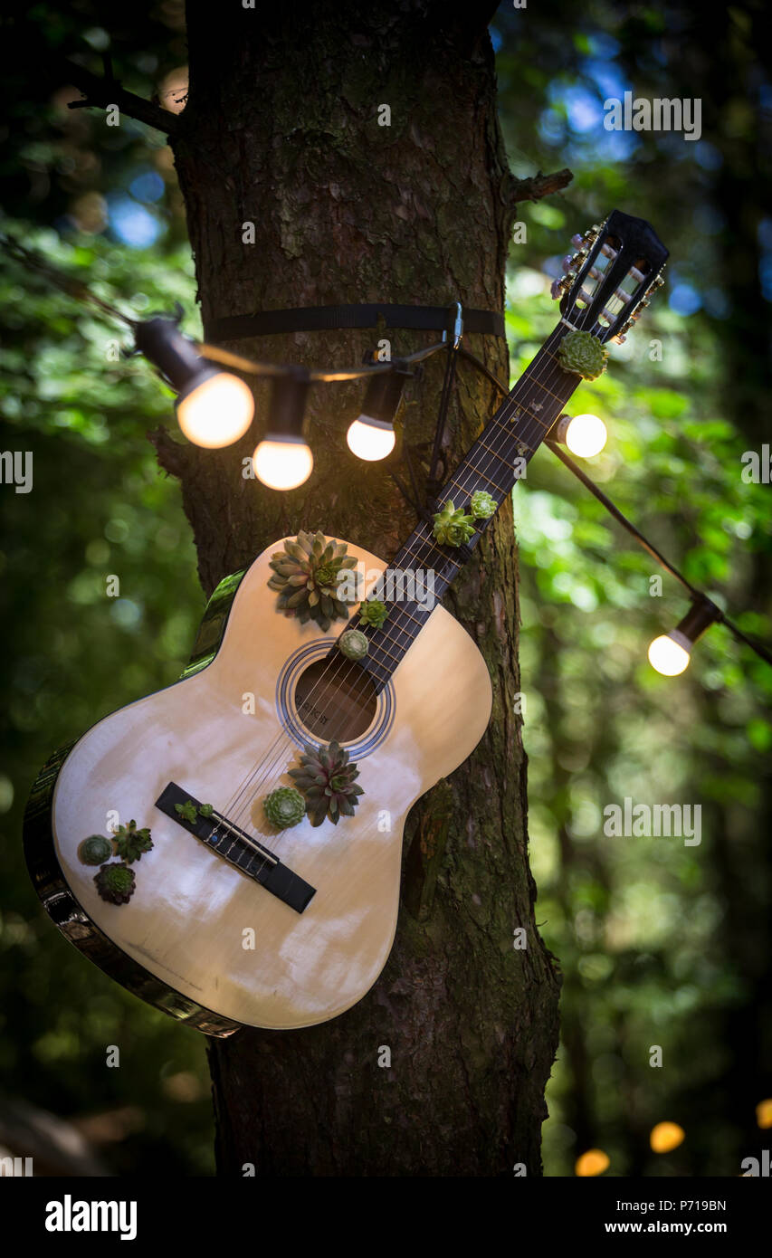 Guitar in trees immagini e fotografie stock ad alta risoluzione - Alamy