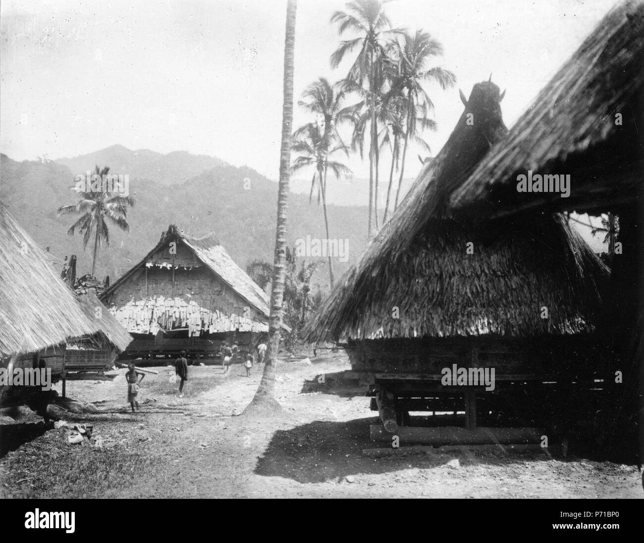 Svenska: Byn Benahoe samt floden Karangana vid Benahoe rottingbro med (2 foto). (Se vidare bild på textkortet). Lokal: Benahoe, Central-Celebes. Fotoggraf: gm. Walter Kaudern, sept. 1918. Benahoe; Sulawesi; Indonesien. Walter Kauderns spedizione fino a Celebes (1917-1921). Inglese: Walter Kaudern spedizione di Celebes (1917-1921). Settembre 1918 6 Byn Benahoe samt floden Karangana vid Benahoe rottingbro med (2 foto) - SMVK - 010653B Foto Stock