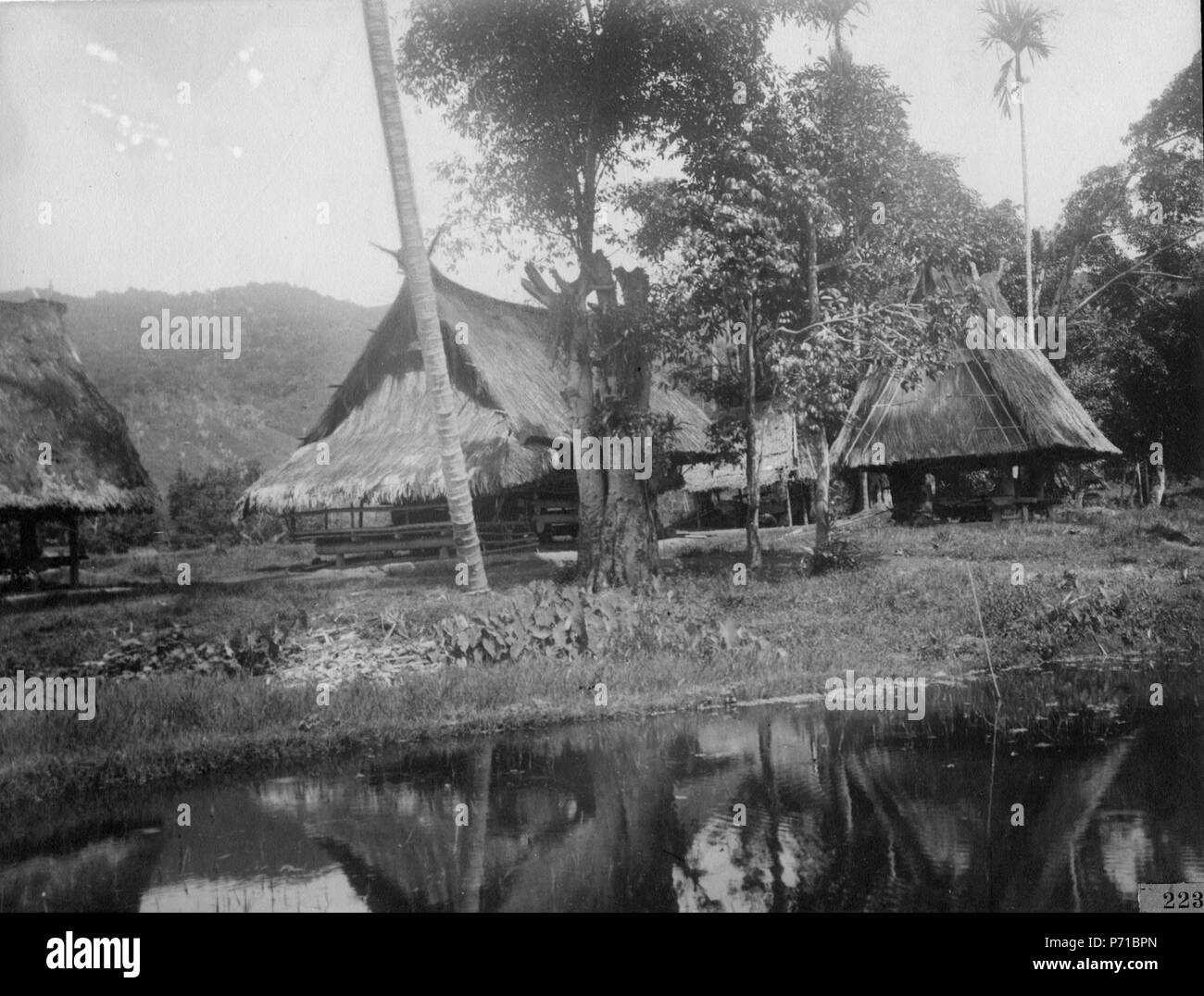 31 Hus vid kanten sawahn av (malajiska=risfält). Lokal, Toro, Central-Celebes - SMVK - 000223 Foto Stock