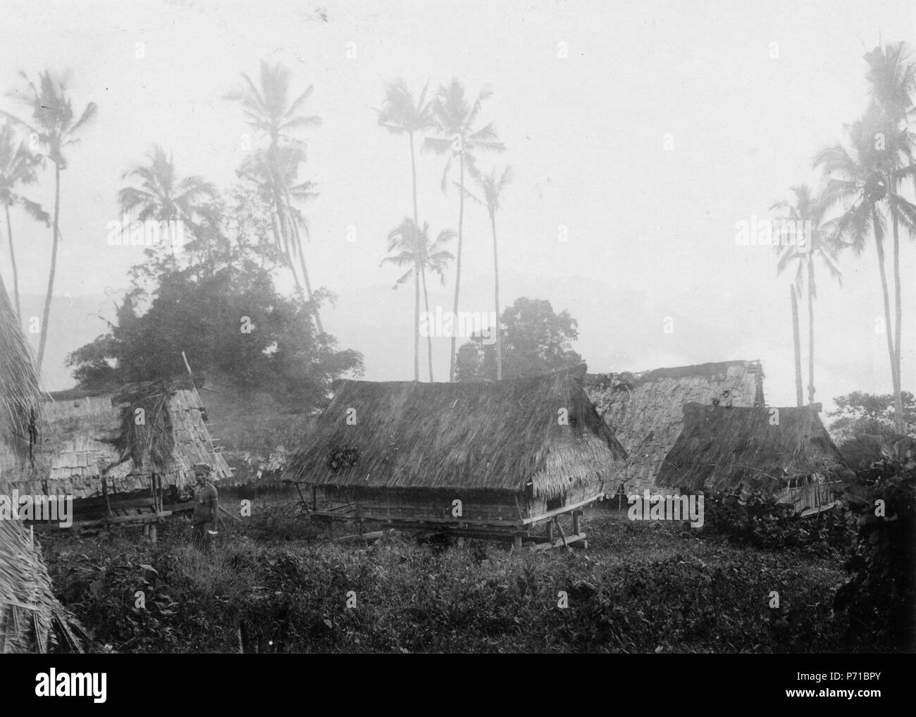 8 Den obebodda byn Poraelea ho Tole. Byscen. Sulawesi. Indonesien - SMVK - 000242 Foto Stock